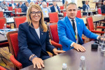 XXXIII Zgromadzenie Ogólne ZPP, 17-18 czerwca 2026 r., Karpacz - obrady: 313